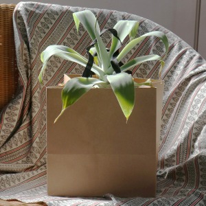 크라프트 화분쇼핑백 정사각형 (10매)2가지 사이즈 꽃 상자 포장 넓은 긴끈 종이봉투